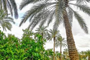 name