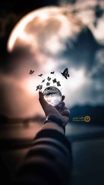 كوثر{"id":491405,"user":"52684","user_register_fields":"2","value":"\u0627\u0646\u062b\u0649"}