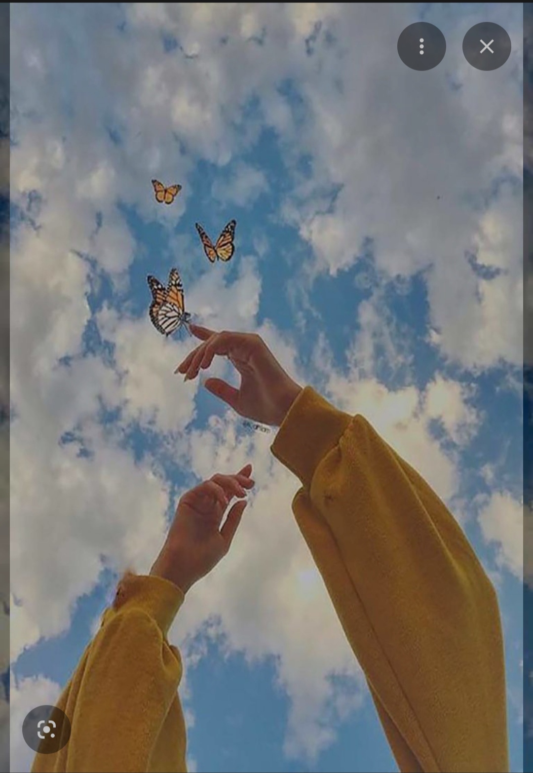 ساجدك يوما{"id":489735,"user":"52517","user_register_fields":"2","value":"\u0627\u0646\u062b\u0649"}