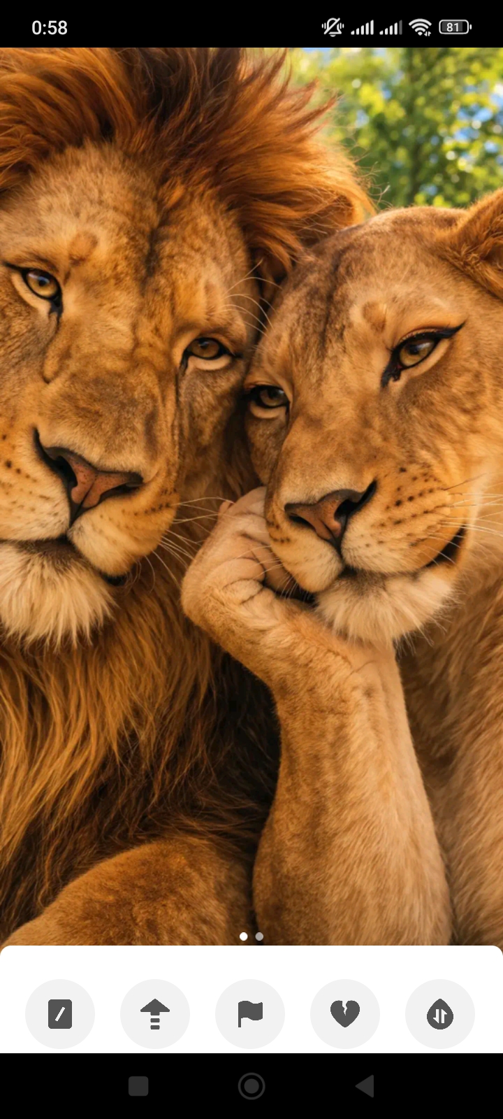 Wij Dane{"id":489725,"user":"52516","user_register_fields":"2","value":"\u0627\u0646\u062b\u0649"}